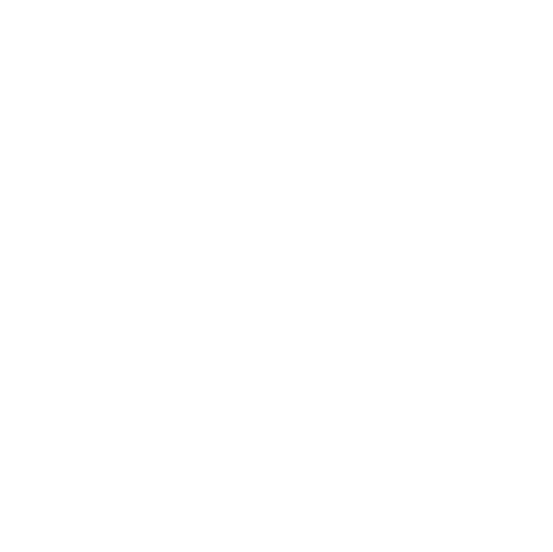 LEAPMOTOR