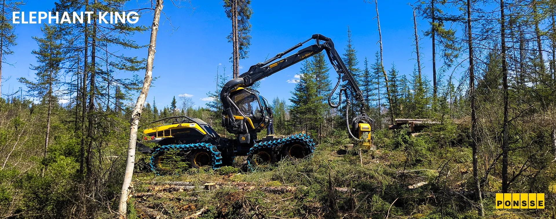 https://forest.grupotimber.com.br/