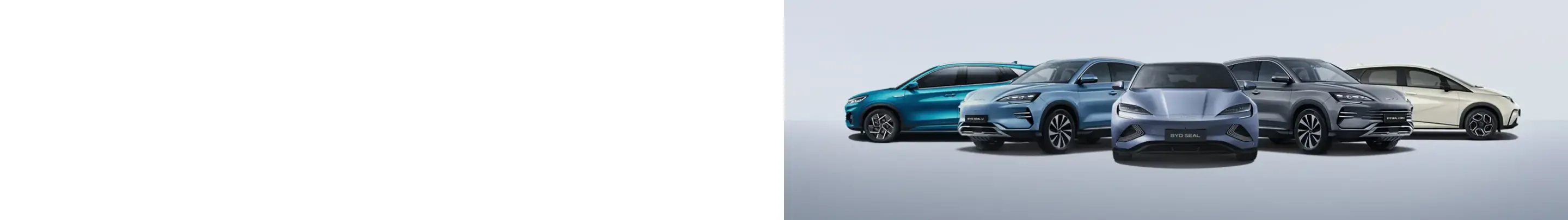 Modelos BYD em fundo cinza