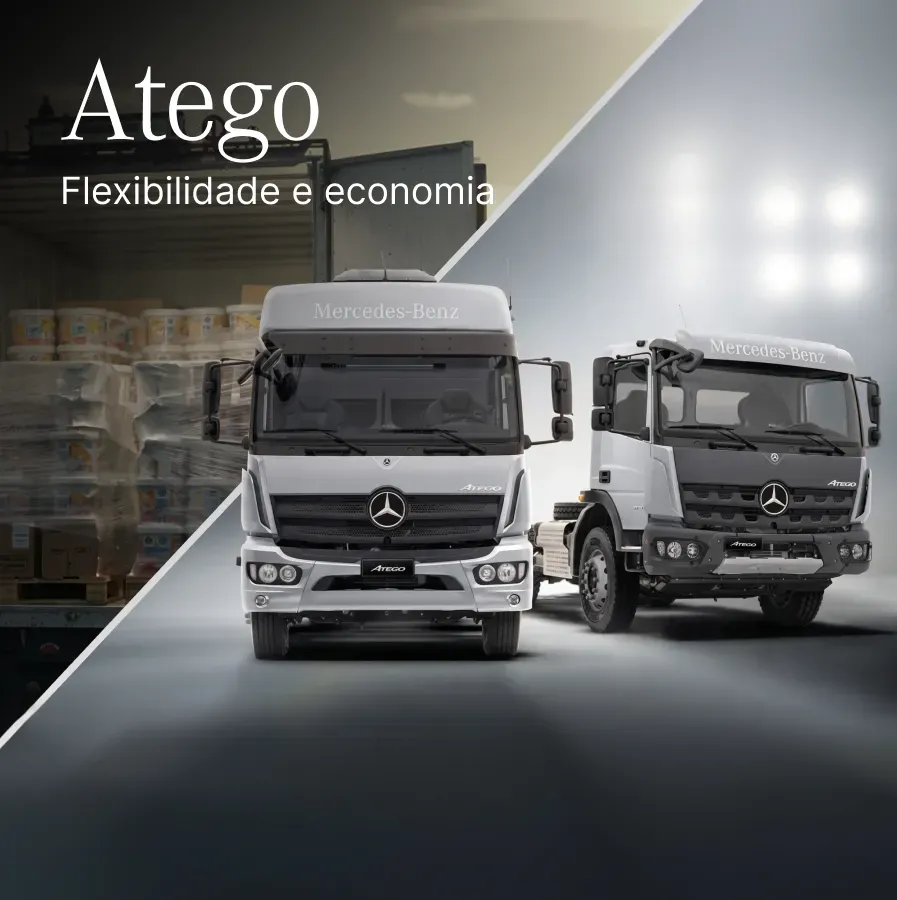 Atego