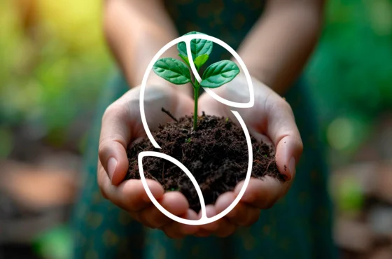 Iniciativas ESG do Grupo Saga: sustentabilidade, ética e inclusão.