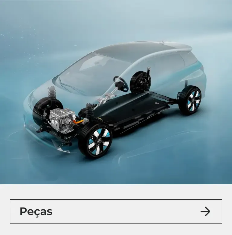 Motor de carro elétrico BYD