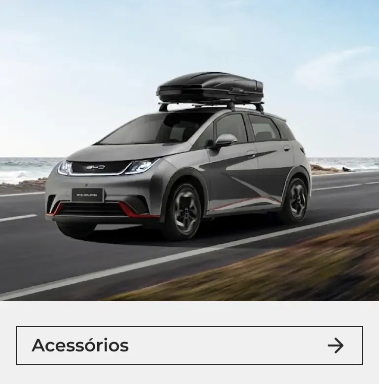 BYD Dolphin com bagageiro de teto. 
