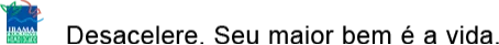logo ibama