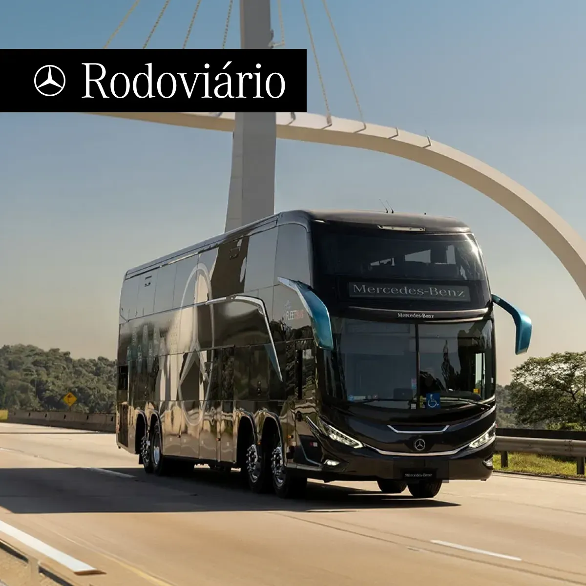 Rodoviário/Fretamento