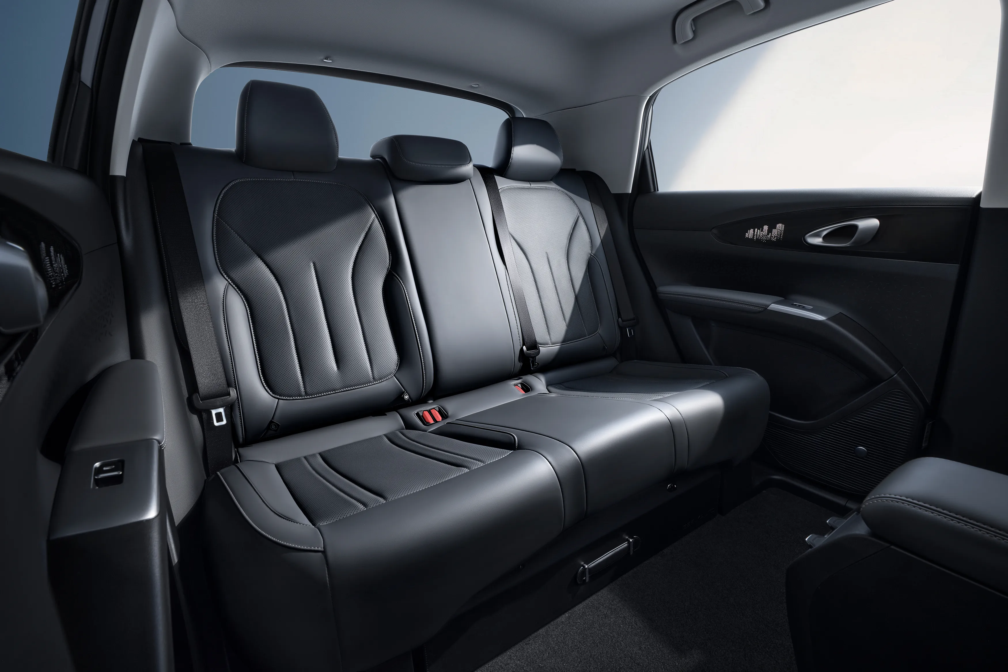 Rear Seat.jpg
