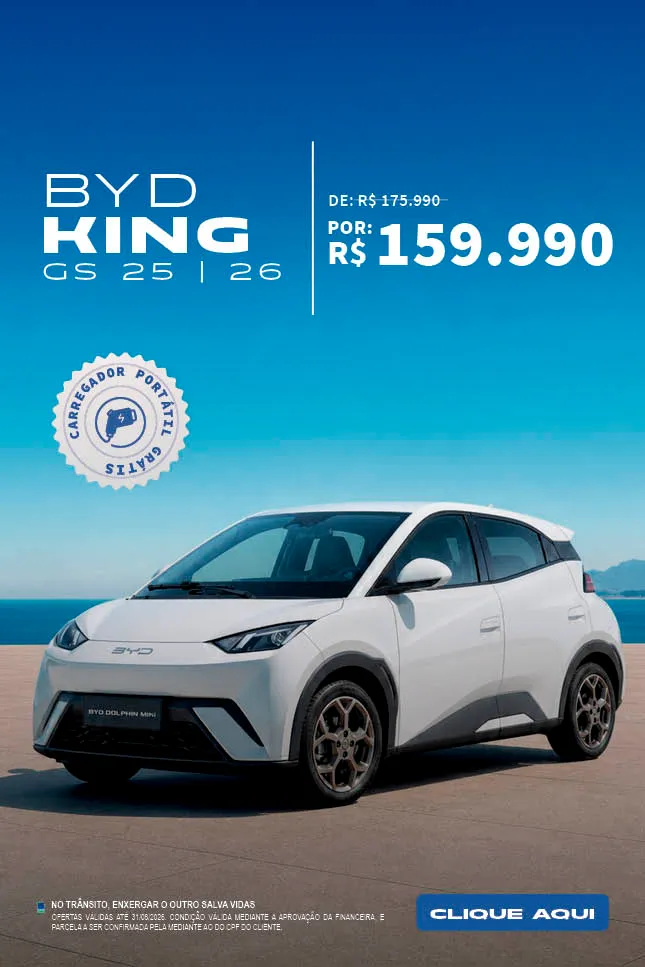 BYD Dolphin