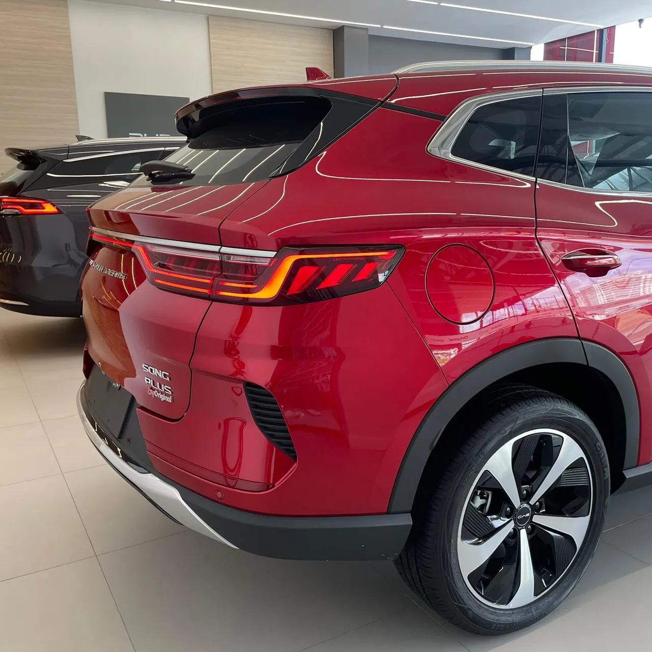 Imagem 5