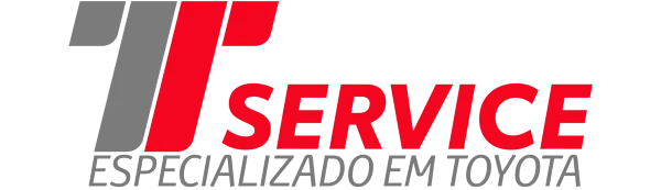 Logo TService