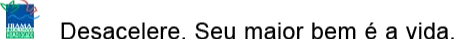 logo ibama