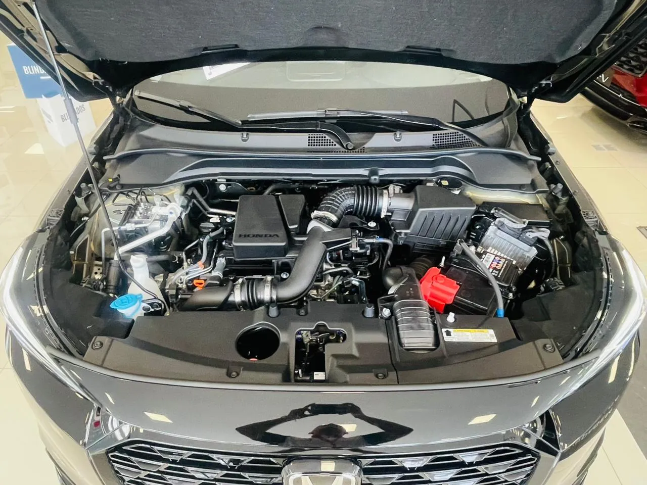 Imagem 6