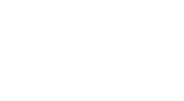 CONCESSIONÁRIA MAX HYUNDAI