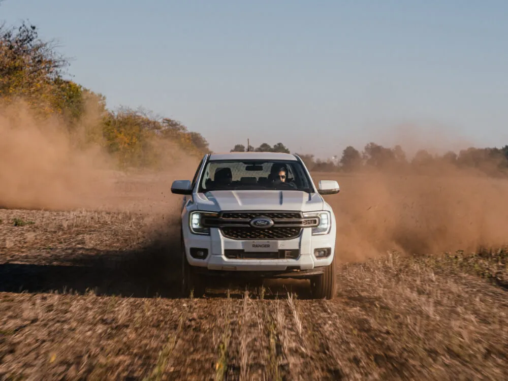 ford caminho