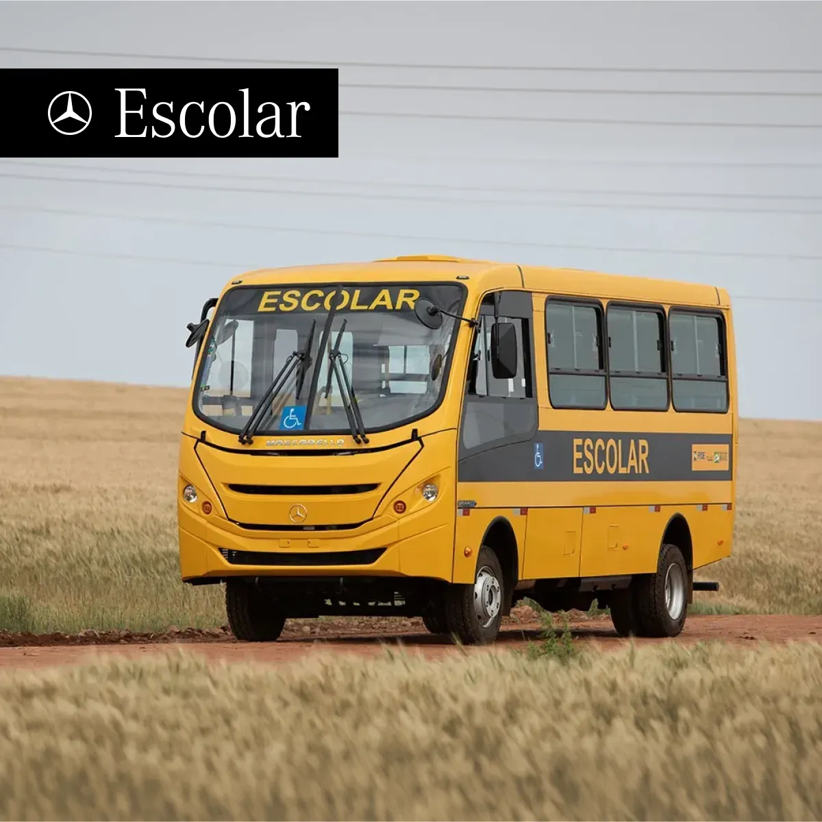 Escolar