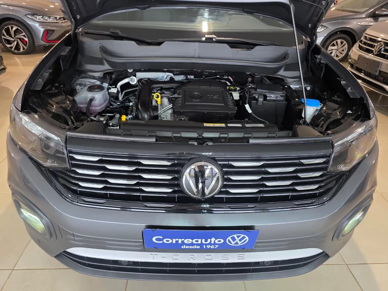 ceed4a54-45ea-4890-9608-e4ab16fd3756.jpg