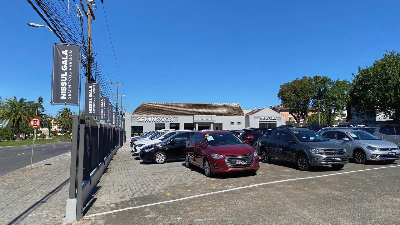 Seminovos Pelotas